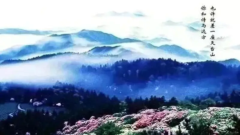 天台留白馆：03岁姑娘返乡打造的治愈茶馆