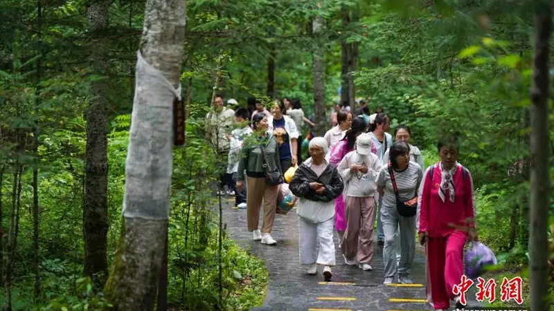 黑龙江汤旺河林海奇石景区游人如织 避暑游火爆升温