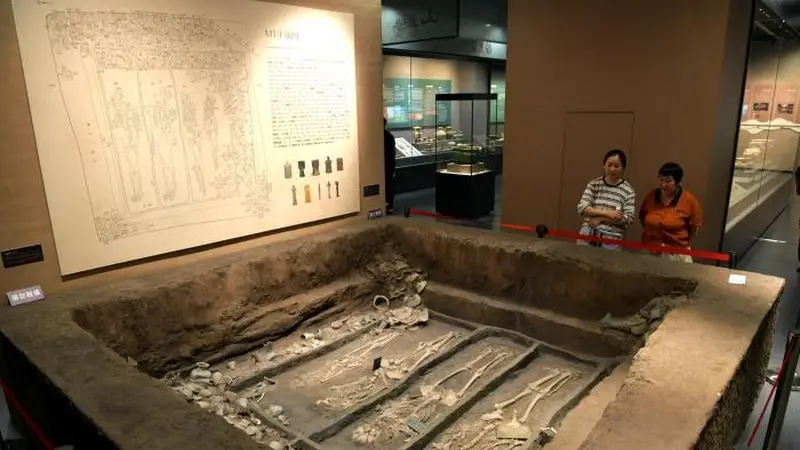滕州考古新发现成果特展开幕 288件文物再现万年文脉