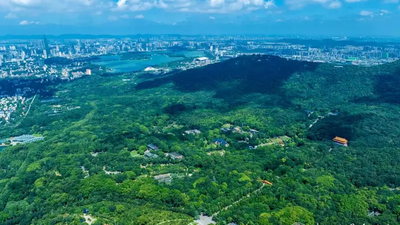 南京钟山风景区面向全国2026级高校新生免景点门票