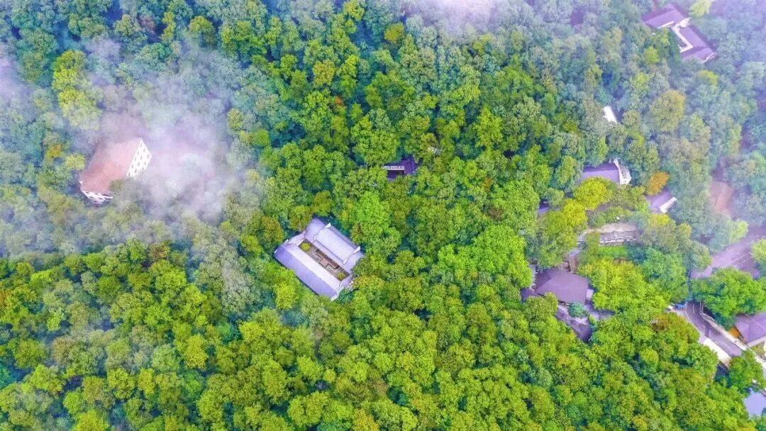 夏日出逃计划：直达大洪山21°C清凉秘境！