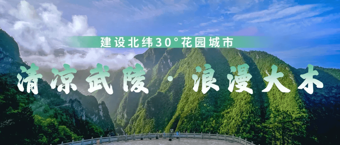 【清凉武陵·浪漫大木】夏日避暑去哪儿？涪陵“清凉武陵·浪漫大木”消夏季近百场活动来了！